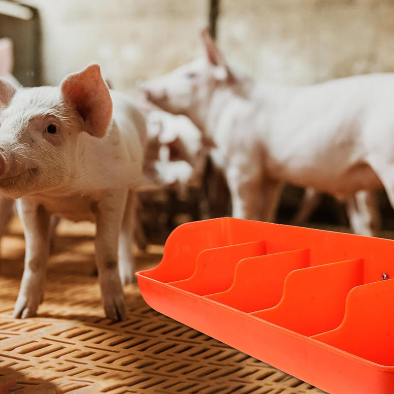 Cabilock Schweine Futterkrippe Futtertrog Futterspender Futterschale Futterautomat Futterbehälter La