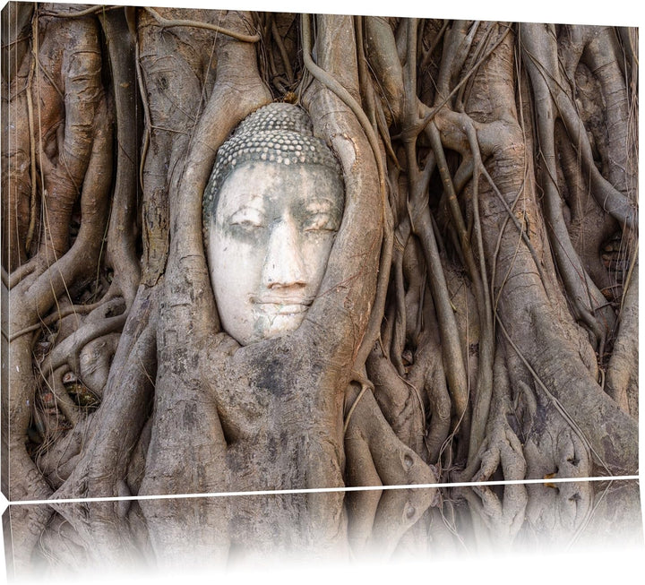 Buddha Kopf verwachsen im Baum Format: 100x70 auf Leinwand, XXL riesige Bilder fertig gerahmt mit Ke