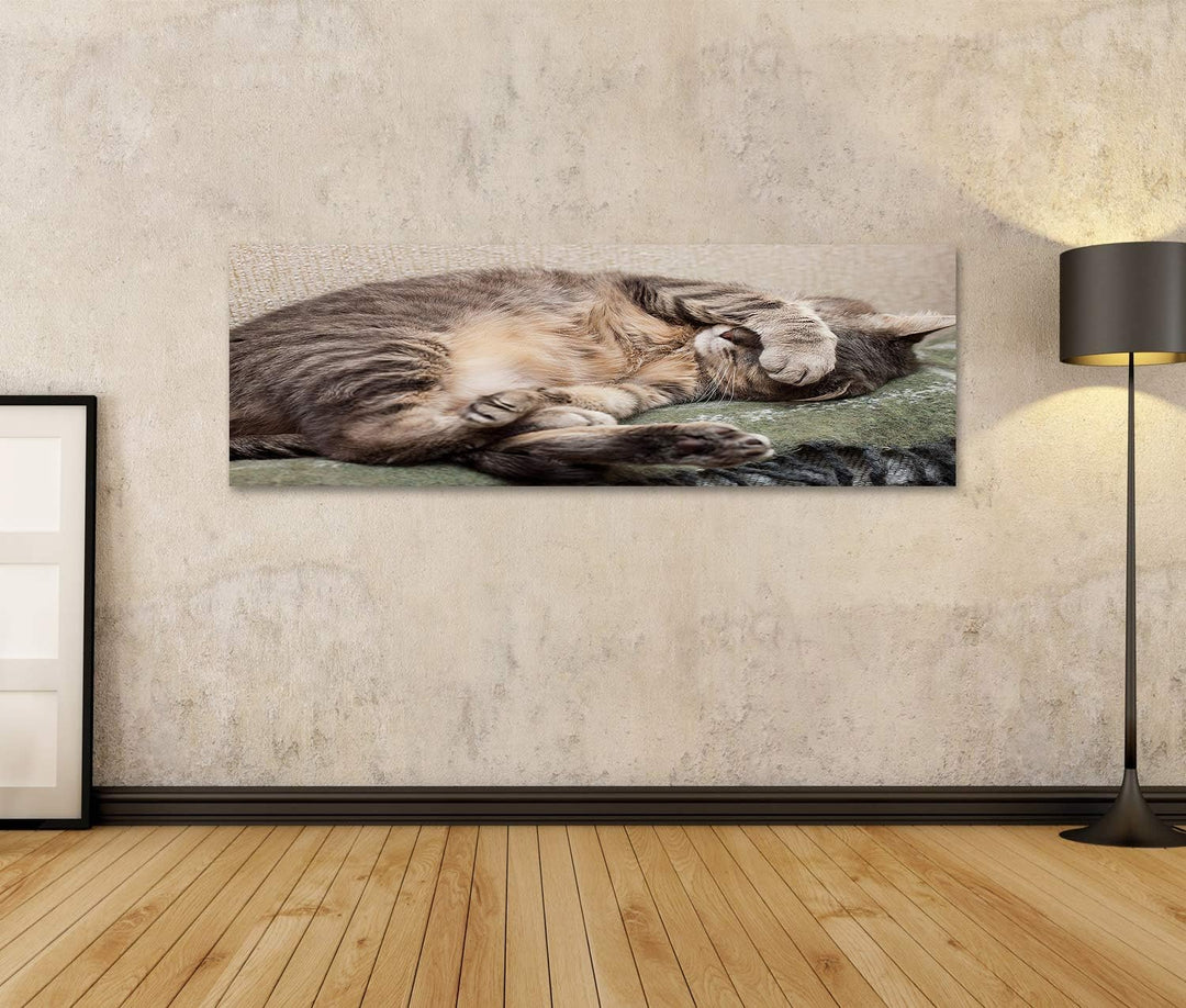 islandburner Bild auf Leinwand Schlafende Katze Bilder Wandbilder Poster Leinwand 120x40cm - Panoram