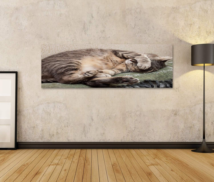 islandburner Bild auf Leinwand Schlafende Katze Bilder Wandbilder Poster Leinwand 120x40cm - Panoram
