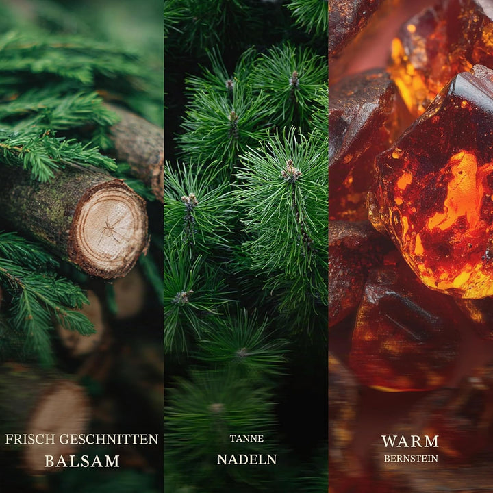 WoodWick Grosse Duftkerze im Sanduhrglas mit knisterndem Docht | Fraser Fir | bis zu 130 Stunden Bre