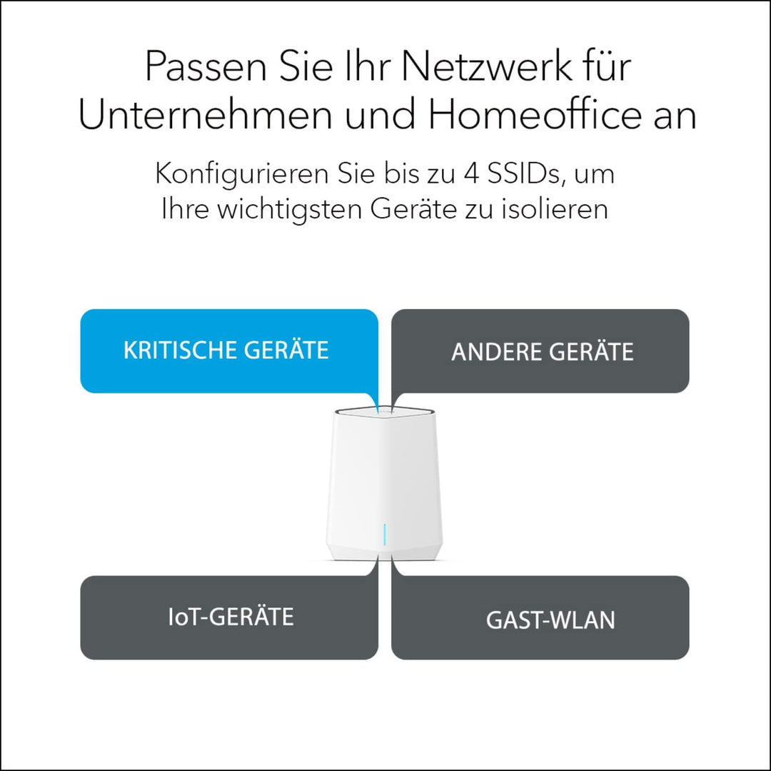 Netgear SXR50 (alte Version) Router (SXR50)