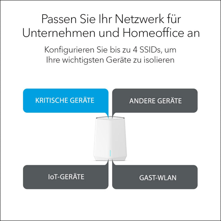 Netgear SXR50 (alte Version) Router (SXR50)
