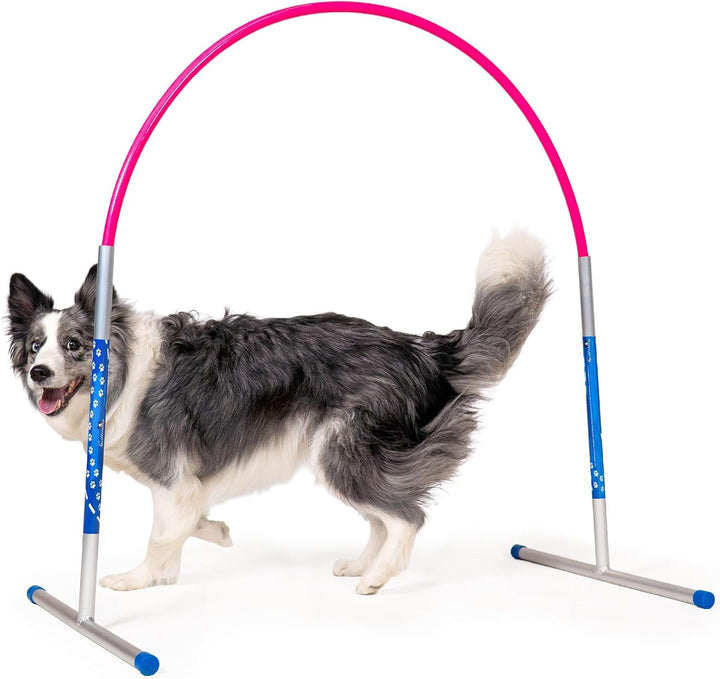 6 x Hoopers Agility Hoops - NADAC Hoopers Agility Hoops (Grosspackung) ALU Hoops (ohne Mittelstrebe)
