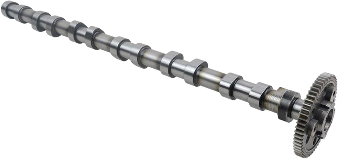 Einlass Nockenwelle 11317791579 Kompatibel mit 3er 5er 6er 7er X3 X5 X6 E46 E90 E91 E92 E93 E39 E60