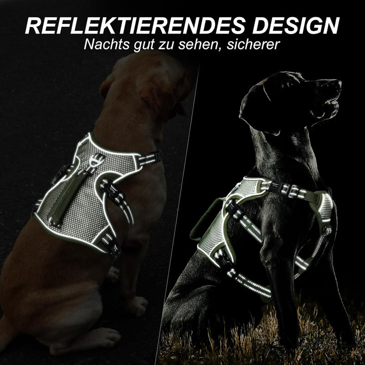 HEELE Hundegeschirr, Ausbruchsicher, Schnalle im Halsbereich, Reflektierend, Brustgeschirr mit Robus