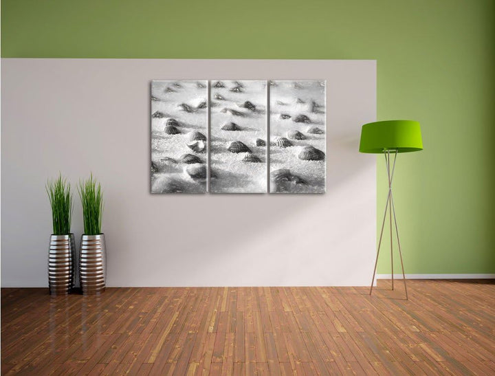Pixxprint Muscheln im Sand Kunst als Leinwandbild/Grösse: 3 Teilig (120x80) / Wandbild/Kunstdruck/fe