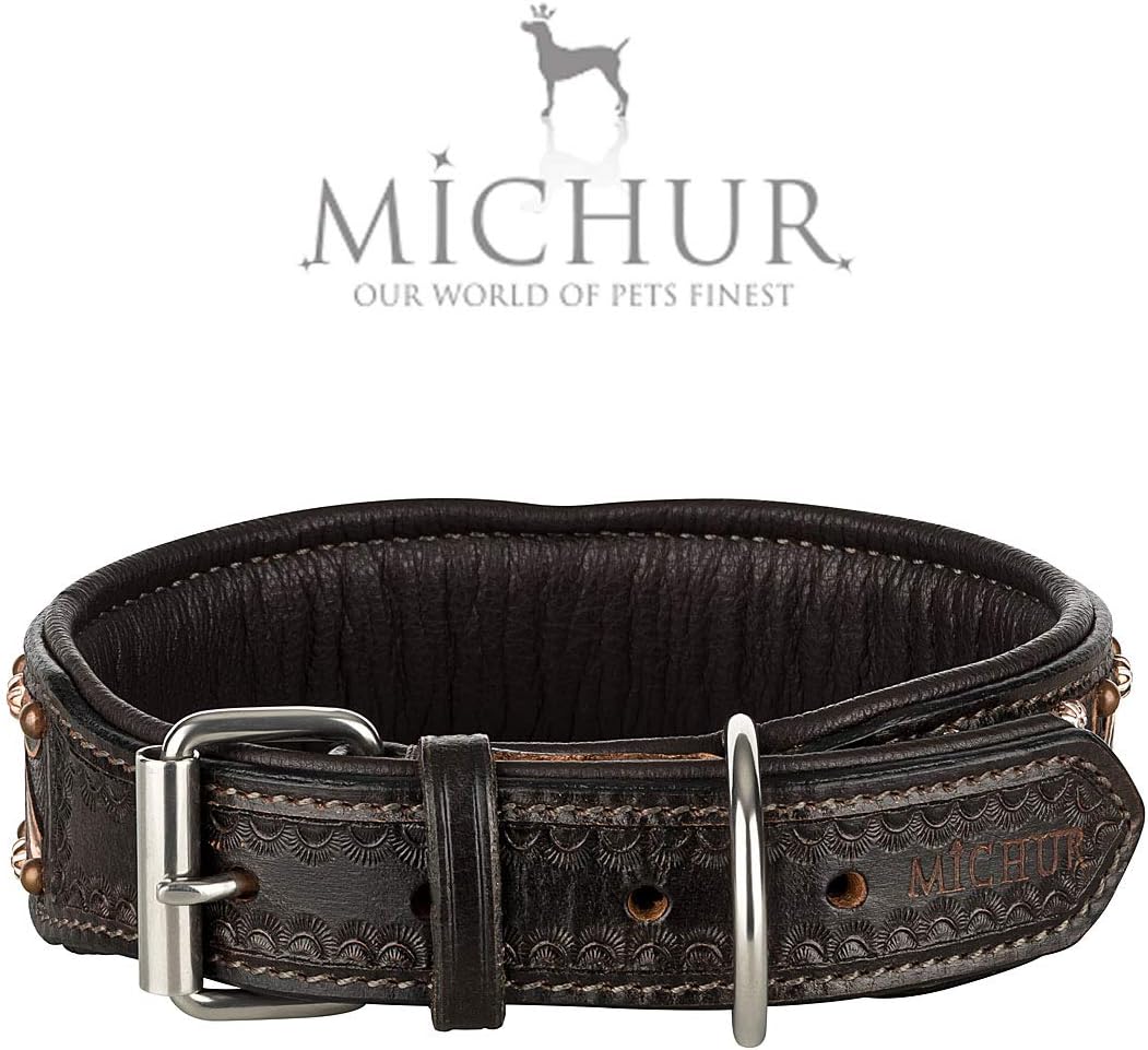 MICHUR Joris Hundehalsband Leder, Lederhalsband Hund, Halsband, Leder, Schwarz Braun mit Rundnieten