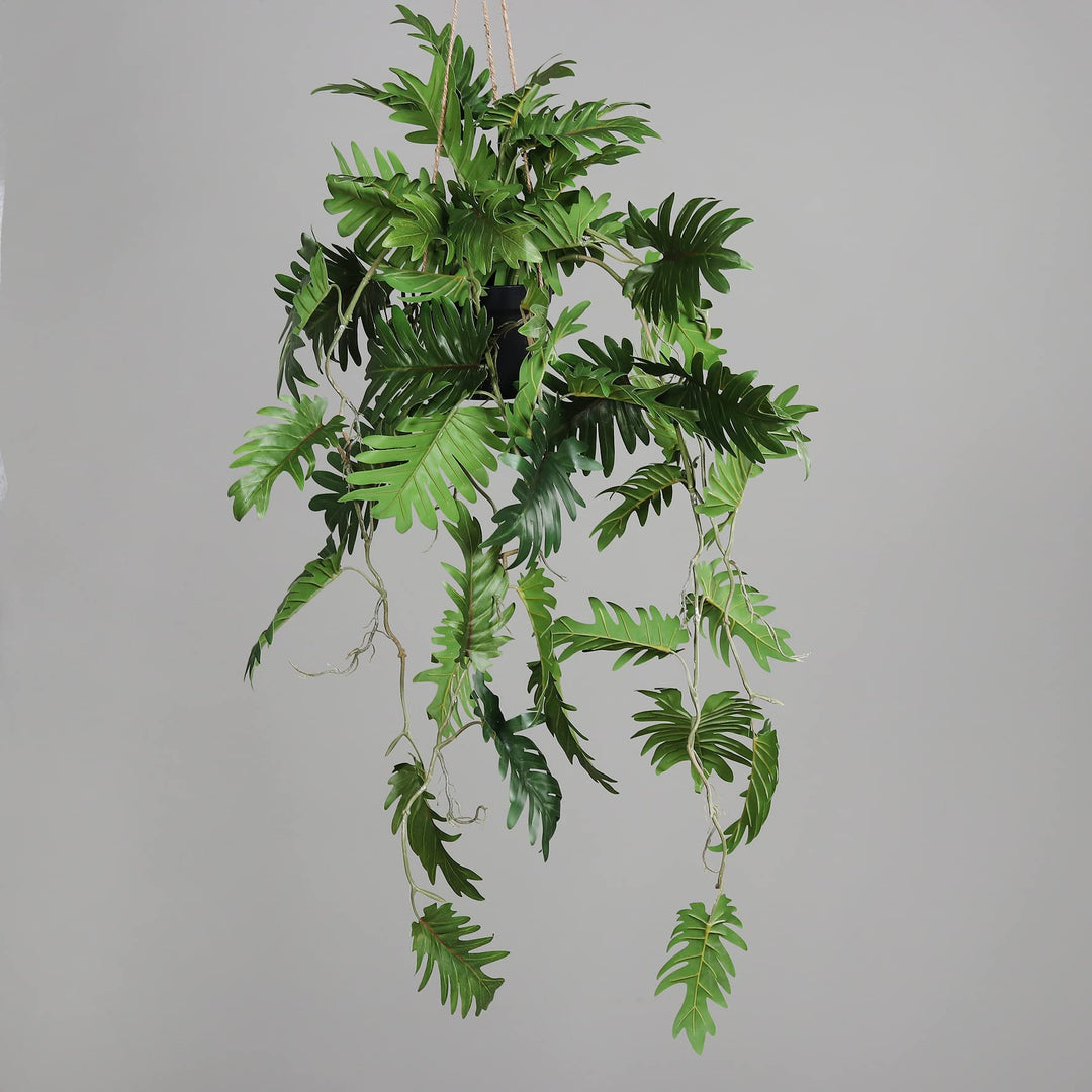 Seidenblumen Ross Monsteraranke im Hängetopf 60cm / 100cm DP Kunstpflanzen Hängeampel künstliche Pfl