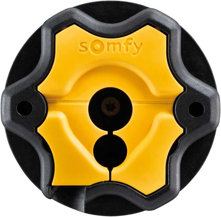 Somfy® Oximo 50 io 20/17
