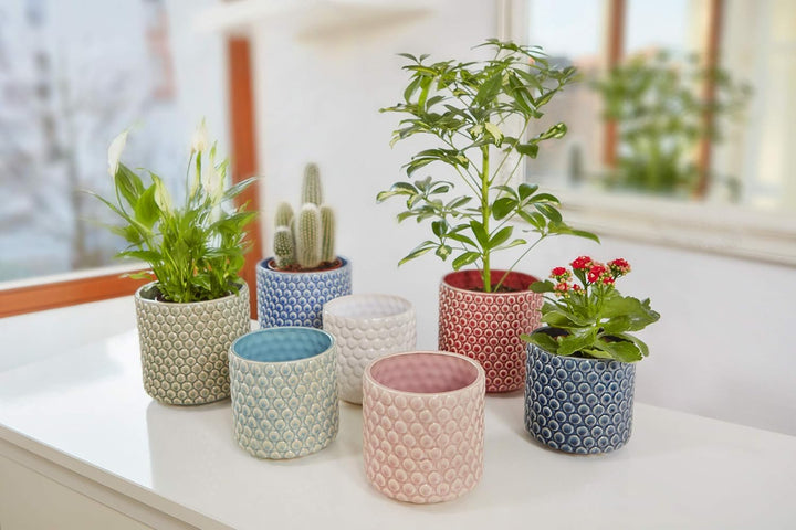 Bloomingville Blumentopf Dot Retro Übertopf Vintage Pflanztopf für Zimmerplanzen M (15,5 cm ø) Öffnu