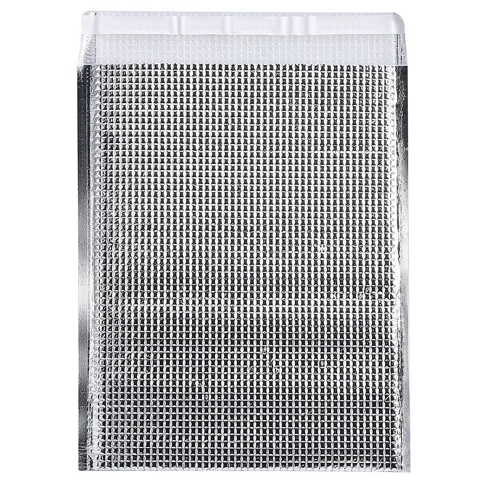 Dilwe Isolierte Taschen, Wiederverwendbare Aluminium Picknick Pouch Warm-Kalt f¨¹r 10 St¨¹cke (25x30