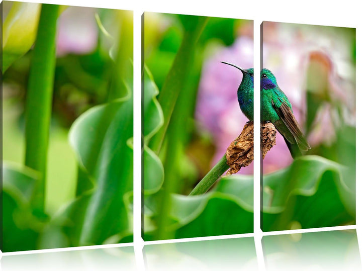 Pixxprint Kolibri in seinem Lebensraum als Leinwandbild/Grösse: 3 Teilig (120x80) / Wandbild/Kunstdr