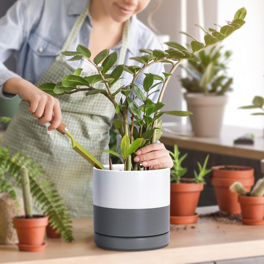 D'vine Dev 11,7 cm & 15,2 cm Keramik-Pflanztöpfe für Pflanzen mit Drainageloch und Untersetzer, klei