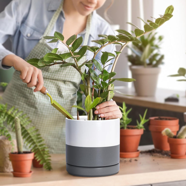 D'vine Dev 11,7 cm & 15,2 cm Keramik-Pflanztöpfe für Pflanzen mit Drainageloch und Untersetzer, klei
