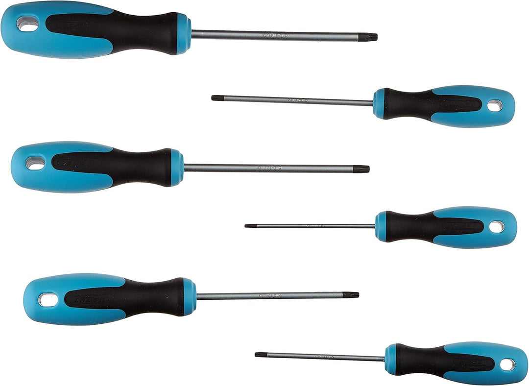 Hazet 163-266/6 TORX Schraubendreher-Satz, other, 163-266/6
