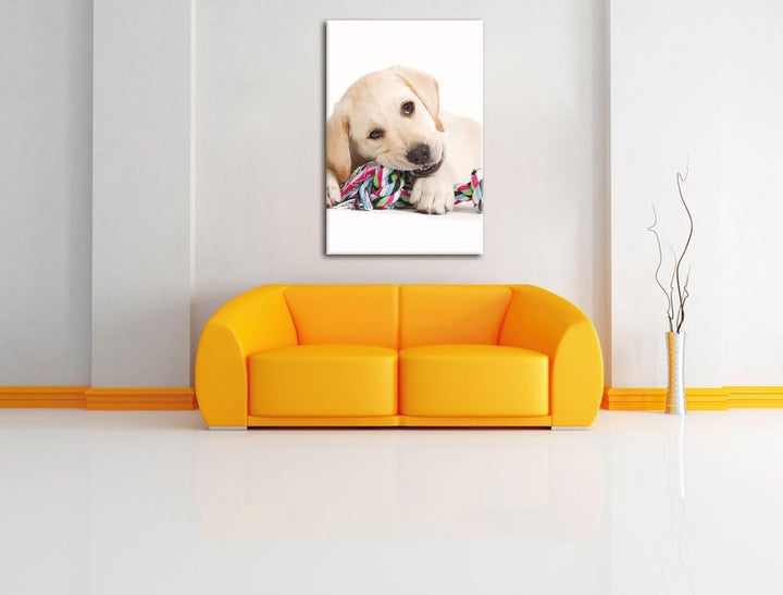 Pixxprint Hundewelpe, Format: 100x70 auf Leinwand, XXL riesige Bilder fertig gerahmt mit Keilrahmen,