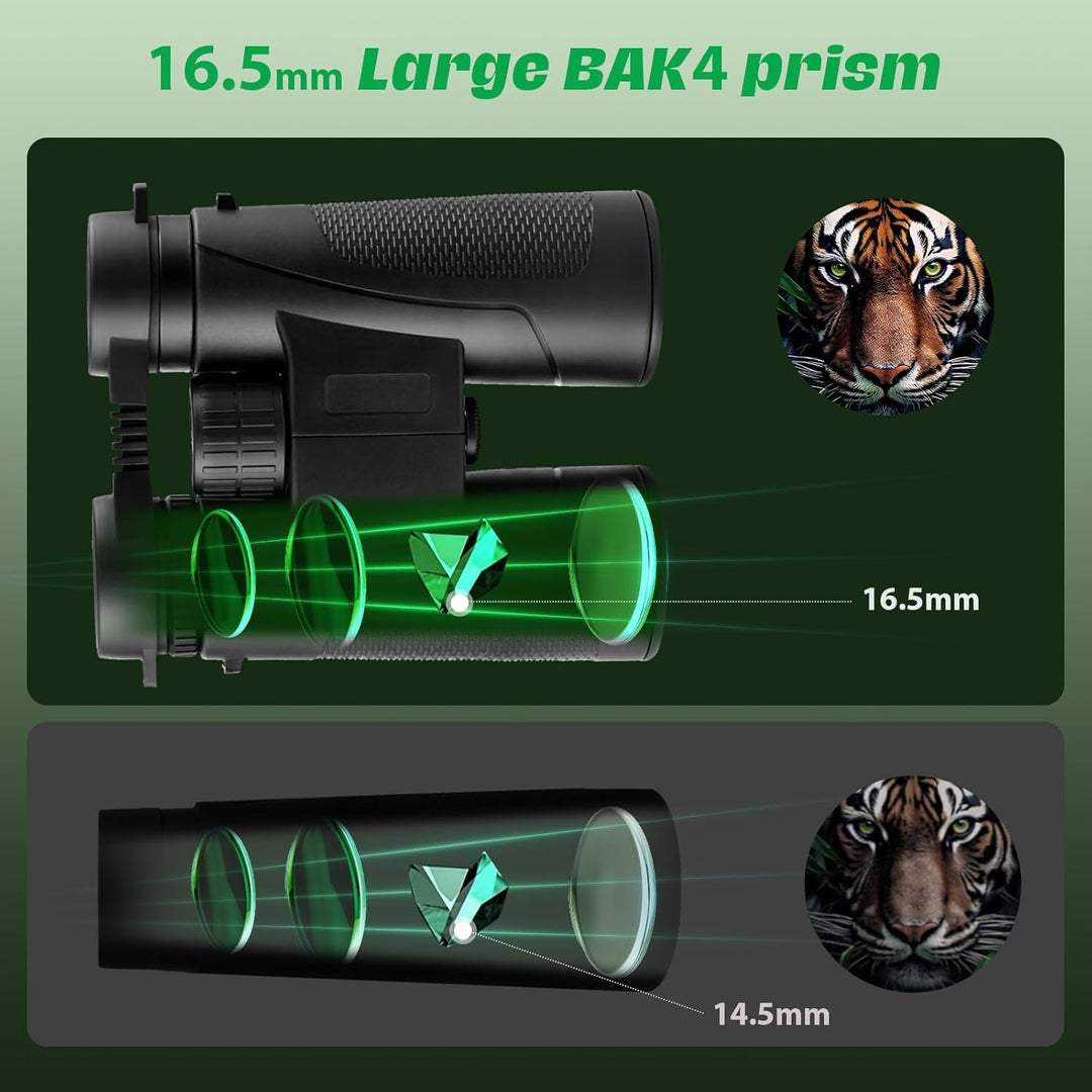Fernglas Erwachsene 12×42HD, Kompakt Ferngläser mit BAK4 HD Prisma + FMC Objektiv, Binoculars Wasser