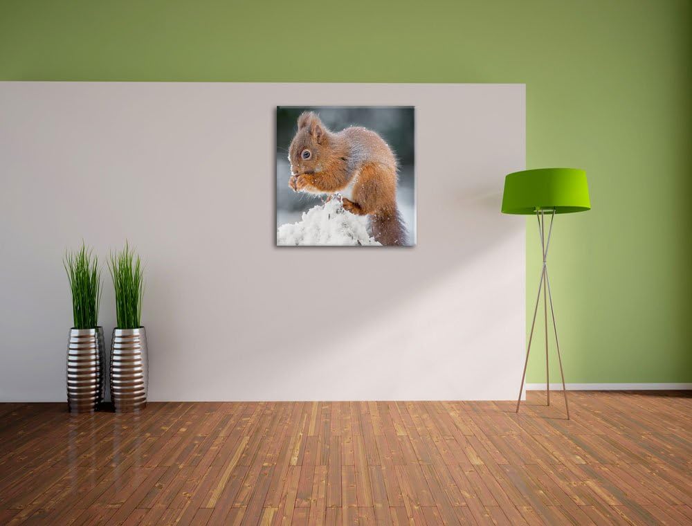 Pixxprint Kleines Eichhörnchen im Winter, Format: 70x70 auf Leinwand, 70x70