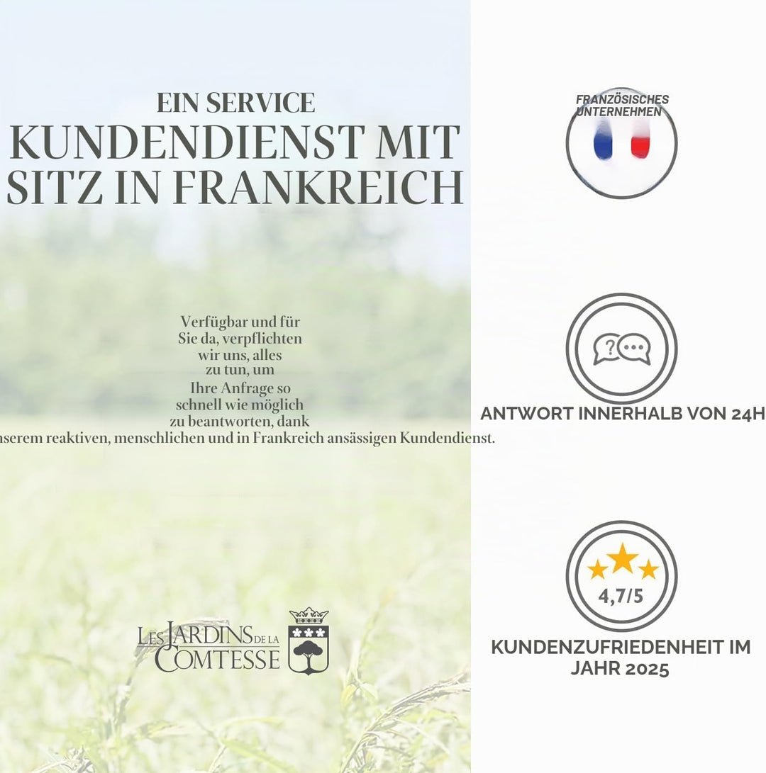 Les Jardins de la Comtesse - Picknickkorb Gisors aus honigfarbener Weide - Komplett Ausgestattet/4 P