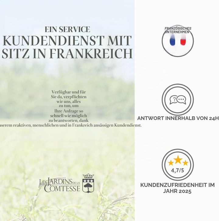 Les Jardins de la Comtesse - Picknickkorb Gisors aus honigfarbener Weide - Komplett Ausgestattet/4 P
