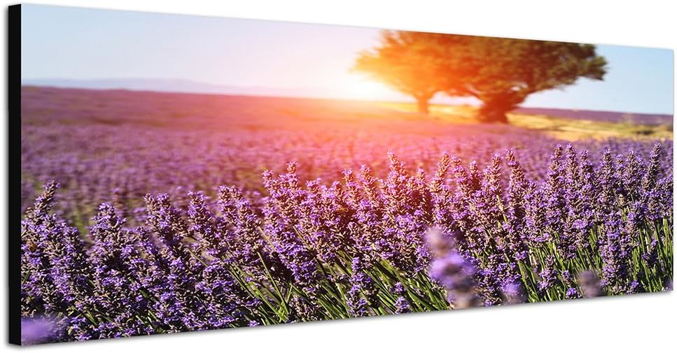 Paul Sinus Art Panoramabild auf Leinwand und Keilrahmen 150x50cm Provence Lavendelfeld Baum Sommer S