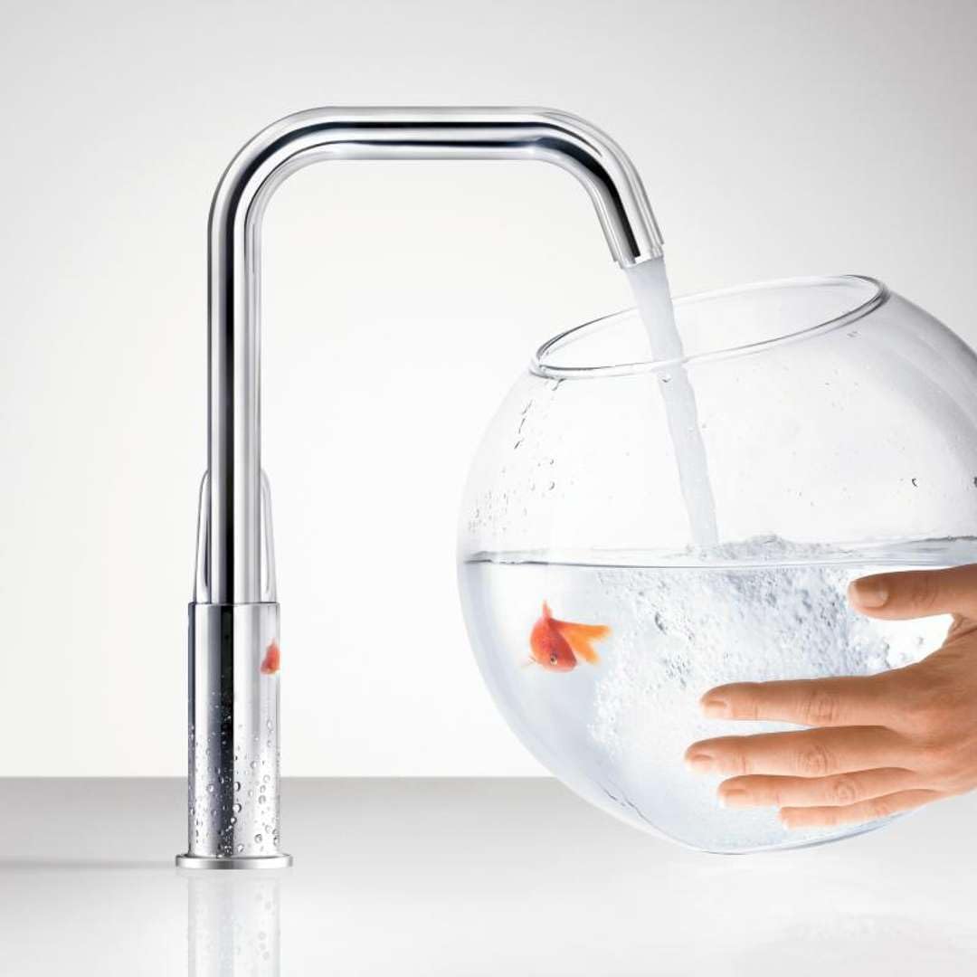 hansgrohe Wasserhahn Focus (Armatur mit Auslauf Höhe 240mm, ohne Ablaufgarnitur) Chrom, Chrom