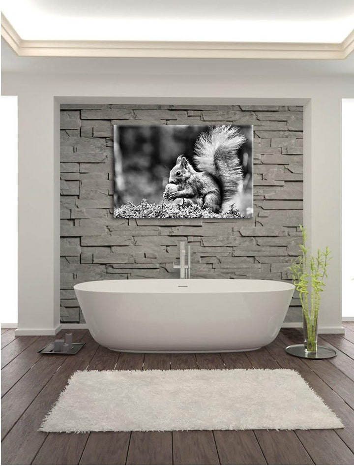 Pixxprint Eichhörnchen mit Nuss / 100x70cm Leinwandbild bespannt auf Holzrahmen/Wandbild Kunstdruck