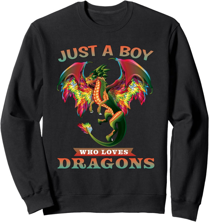 Just A Boy Who Loves Dragons Teen Boy Gifts Sweatshirt