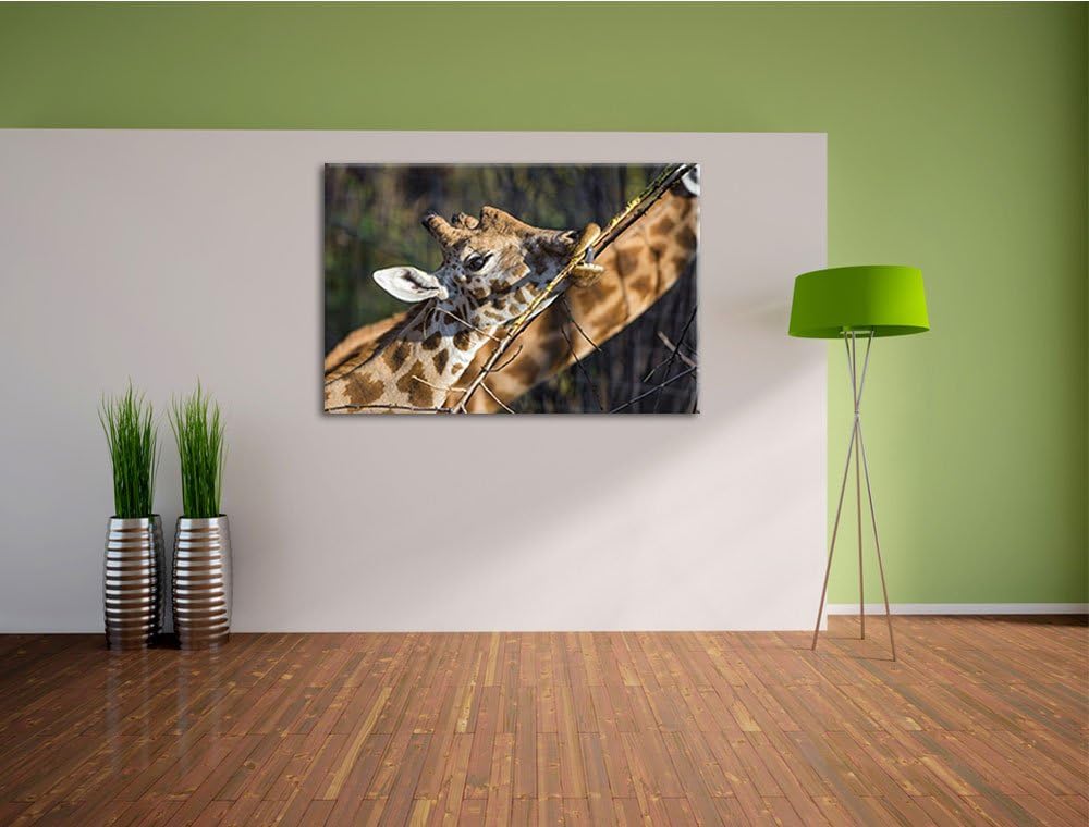Pixxprint fressende Giraffe auf Leinwand, XXL riesige Bilder fertig gerahmt mit Keilrahmen, Kunstdru