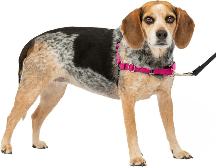 PetSafe Easy Walk Hundegeschirr. Himbeere/Grau Small/Medium, Himbeere/Grau Small/Medium