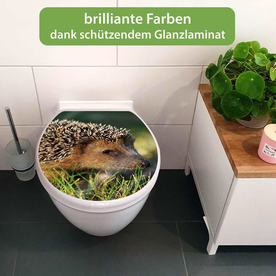 banjado Toilettendeckel mit Absenkautomatik 44,5x37cm - Soft Close Toilettensitz - WC Sitz mit Absen
