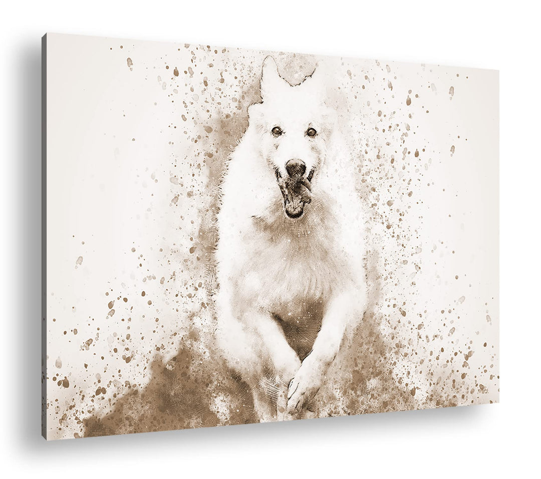 deyoli spielender Hund Format: 80x60 Effekt: Sepia als Leinwandbild, Motiv fertig gerahmt auf Echtho