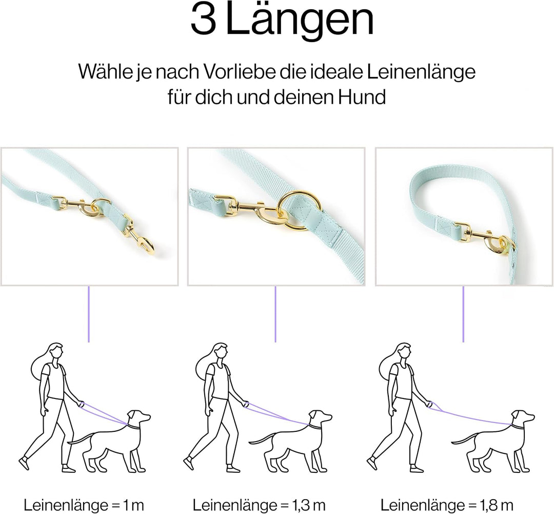 VELVETIER® "Paris" | Halsband Hund im Set mit Leine &amp; Beutelspender | Veganes Leder | Hunde Halsbänd