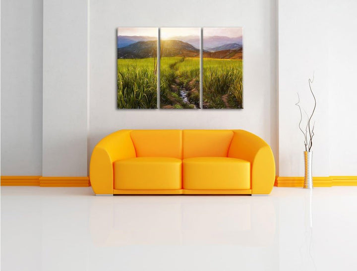 Pixxprint Reisfeld Plantage in Asien als Leinwandbild/Grösse: 3 Teilig (120x80) / Wandbild/Kunstdruc