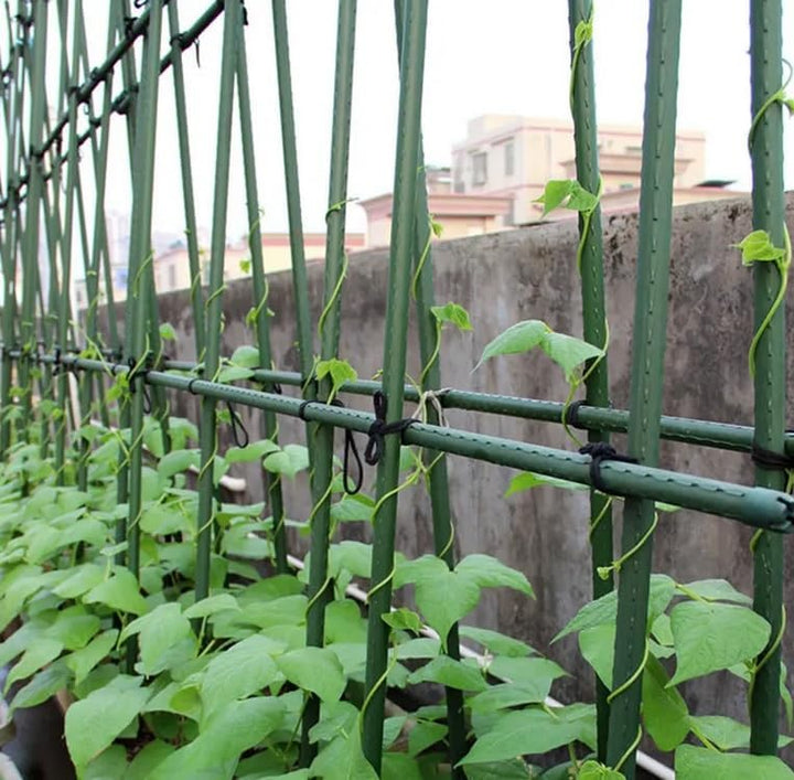 Dixiestore Pflanzstäbe Pflanzenstütze, Rankhilfe für Tomaten, Gurken, Blumen Kletterhilfe für Garten