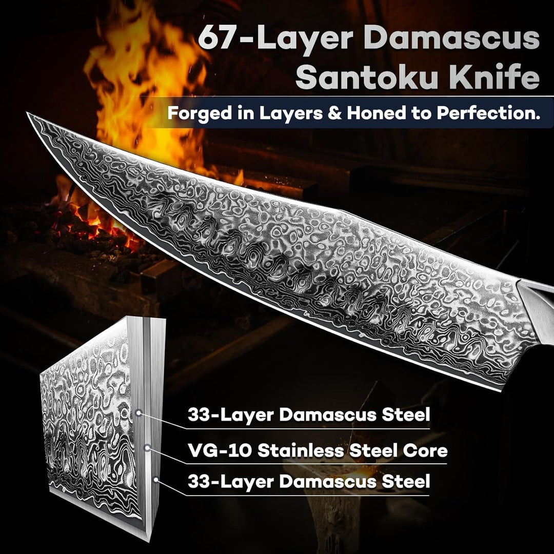 DRAGON RIOT Damastmesser, Japanisches Kochmesser profi Messer, Damast Küchenmesser mit ergonomischem