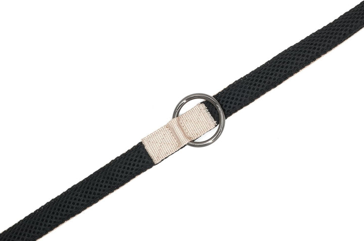 ComfortLine mit Mesh Gewebe 2m, 2,5cm Hundeleine verstellbar in beige für mittelgrosse bis grosse Hu