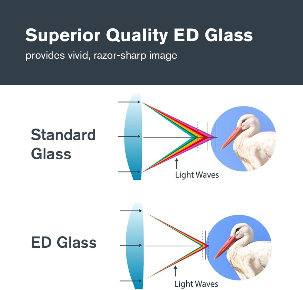 Celestron Nature DX ED 10x50 Binoculars - Premium Extra-Low Dispersion ED Glass Lenses, 10x50