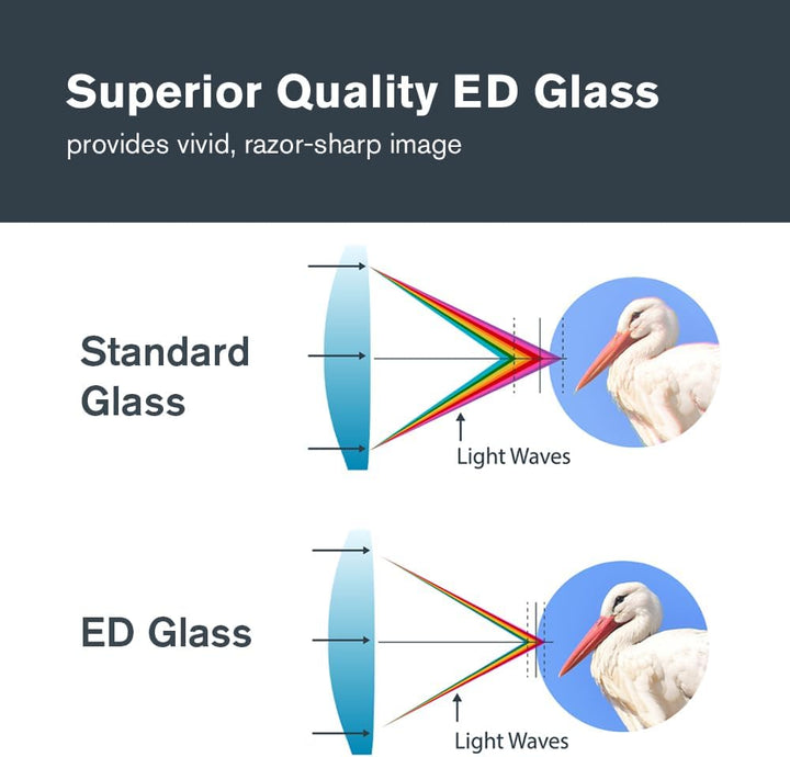 Celestron Nature DX ED 10x42 Binoculars - Premium Extra-Low Dispersion ED Glass Lenses, 10X42