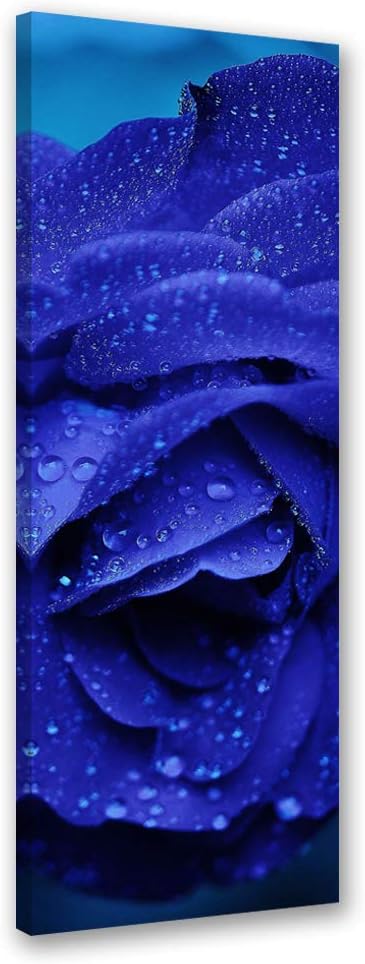 Feeby Bild auf Leinwand Natur Kunstdruck modern Rose Blau 30x90 cm Leinwandbild 30x90 cm Blau_a, Lei