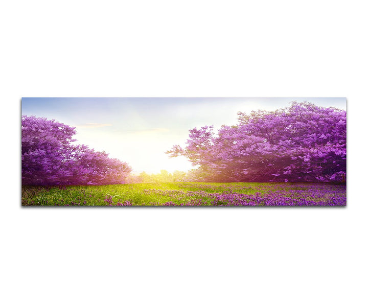 Paul Sinus Art Panoramabild auf Leinwand und Keilrahmen 150x50cm Wiese Sträucher Blumen Frühling Son