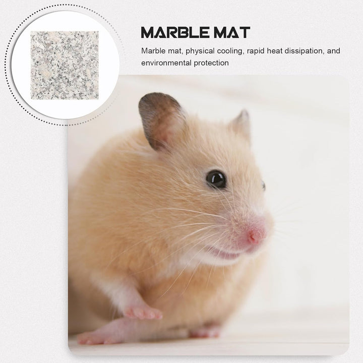 SHINEOFI 2 Stück-Pack Marmormatte aus Granit 9x9cm für Hamster und Chinchillas Kratzfestes und Wärme