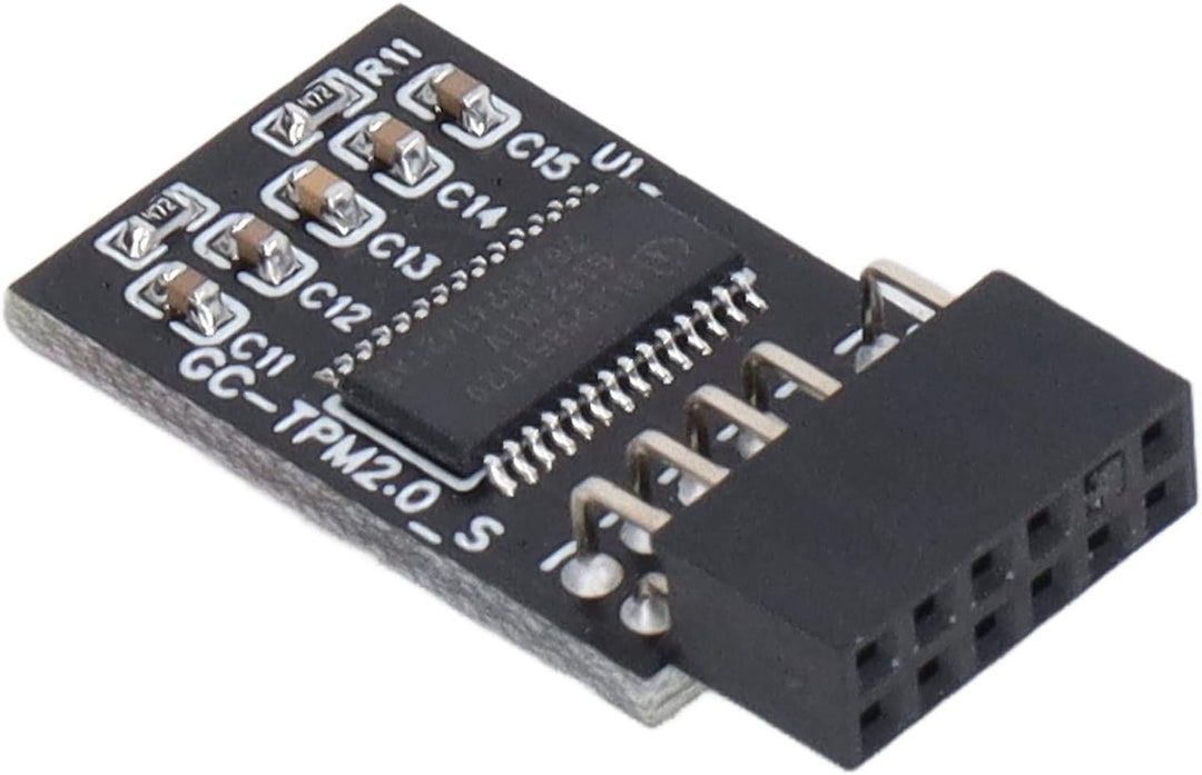 TPM 2.0 Modul LPC SPI 12 Pin Remote Card Encryption Security Board, Zubehör Kompatibel mit Plattform