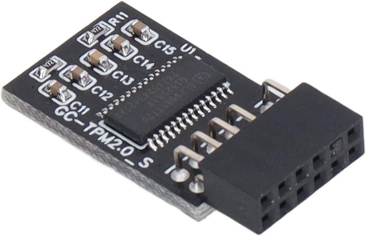 TPM 2.0 Modul LPC SPI 12 Pin Remote Card Encryption Security Board, Zubehör Kompatibel mit Plattform