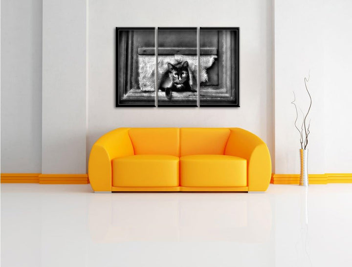 Pixxprint Monocrome, Schwarze Katze durch Hundeklappe 3-Teiler Leinwandbild 120x80 Bild auf Leinwand