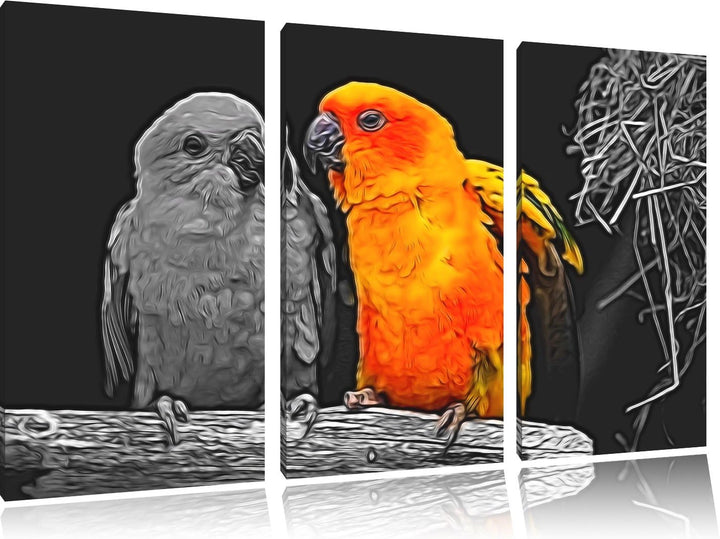 Dark zwei hübsche Sonnensittiche schwarz/weiss Spezial 3-Teiler Leinwandbild 120x80 Bild auf Leinwan