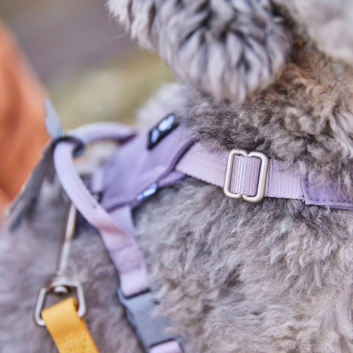 Hurtta Seeker Hundegeschirr (Lavender, 35-45) Lavender 35-45, Lavender 35-45
