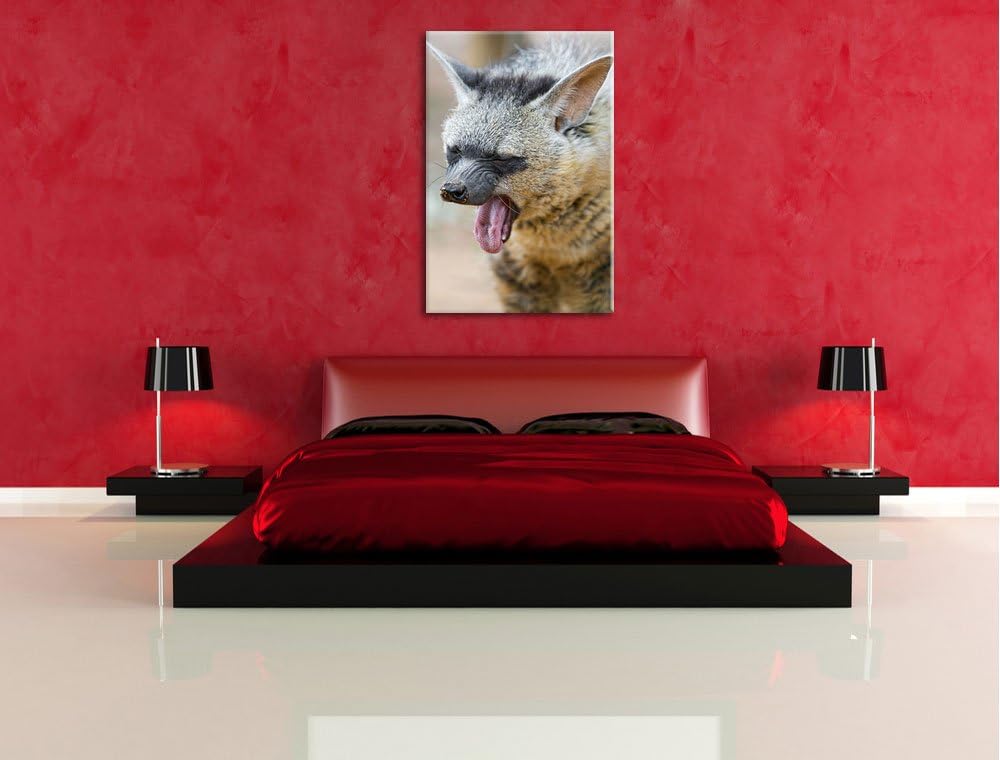 Pixxprint müde Hyäne auf Leinwand, XXL riesige Bilder fertig gerahmt mit Keilrahmen, Kunstdruck auf