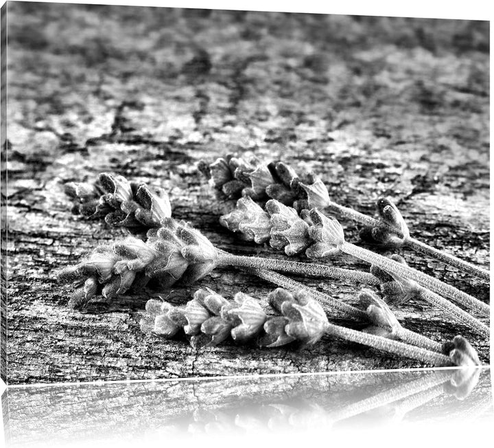 Pixxprint Monocrome, Liegender frischer Lavendel, Format: 100x70 auf Leinwand, 100x70